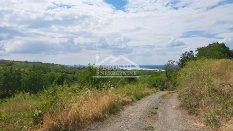 Prodaja, plac, 800m², Višnjica, Palilula Sve Podlokacije - image 3