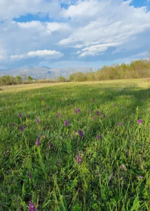 Prodaja, plac, 5554m², Jastreb, Danilovgrad