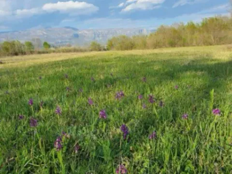 Prodaja,  zemljište, 5554m2, Jastreb, Danilovgrad