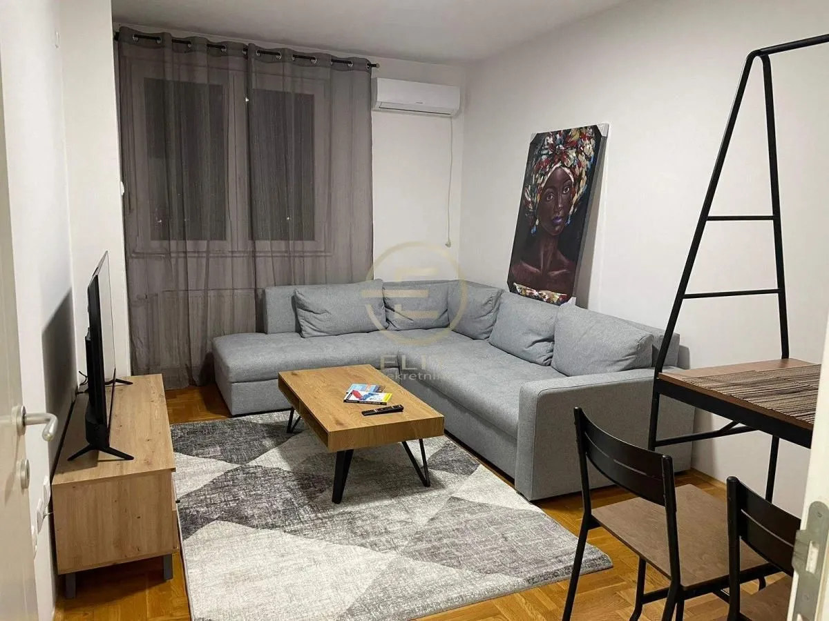 Two Bedroom Apartment for Rent, 41m2, Bulevar Evrope, Novi Sad, Novi