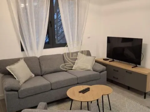 Rent, two bedroom apartment, 45m², Pasino Brdo, Voždovac Sve Podlokacije - image 4