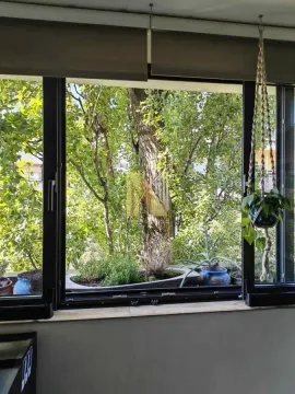 Pogled kroz prozor na zeleno drveće i dvorište ispred zgrade. - image 19
