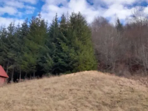 Prodaja, plac, 800m², Veruša, Podgorica - image 2