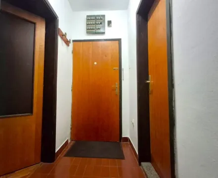 Izdavanje, garsonjera, 28m², Preko Morače, Podgorica - image 6