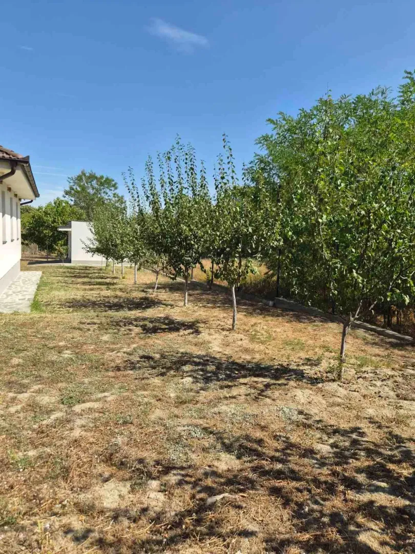 Pogled na prostrano dvorište sa voćnjakom pored kuće.