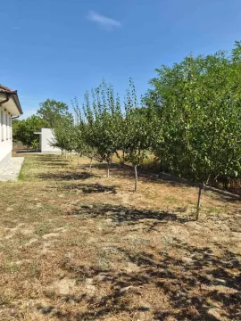 Pogled na prostrano dvorište sa voćnjakom pored kuće. - image 18