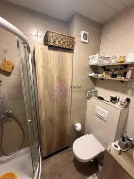 Kompaktno kupatilo sa tuš kabinom, WC šoljom i drvenim ormarićem. - image 11