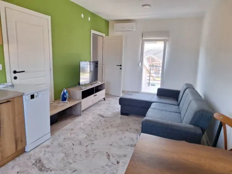 Izdavanje, kuća, 170m², Cijevna, Podgorica - image 13