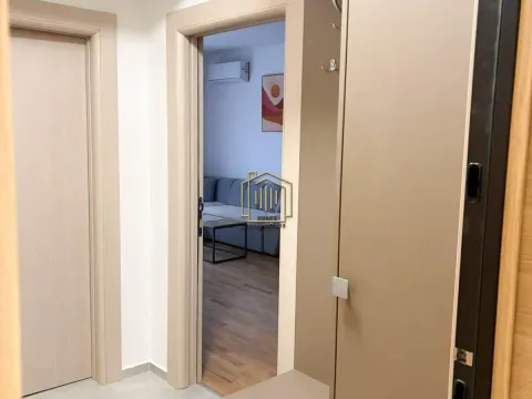 Rent, one bedroom apartment, 46m², Stara Varoš, Podgorica - image 4