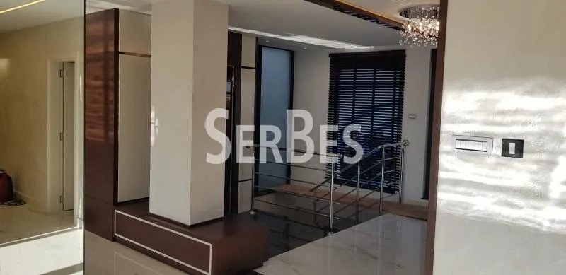 Izdavanje, stan, 217m², Telep, Novi Sad Sve Podlokacije