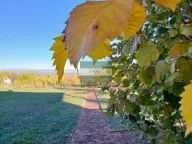 Sale, house, 113m², Đurđevo brdo, Jagodina - image 19