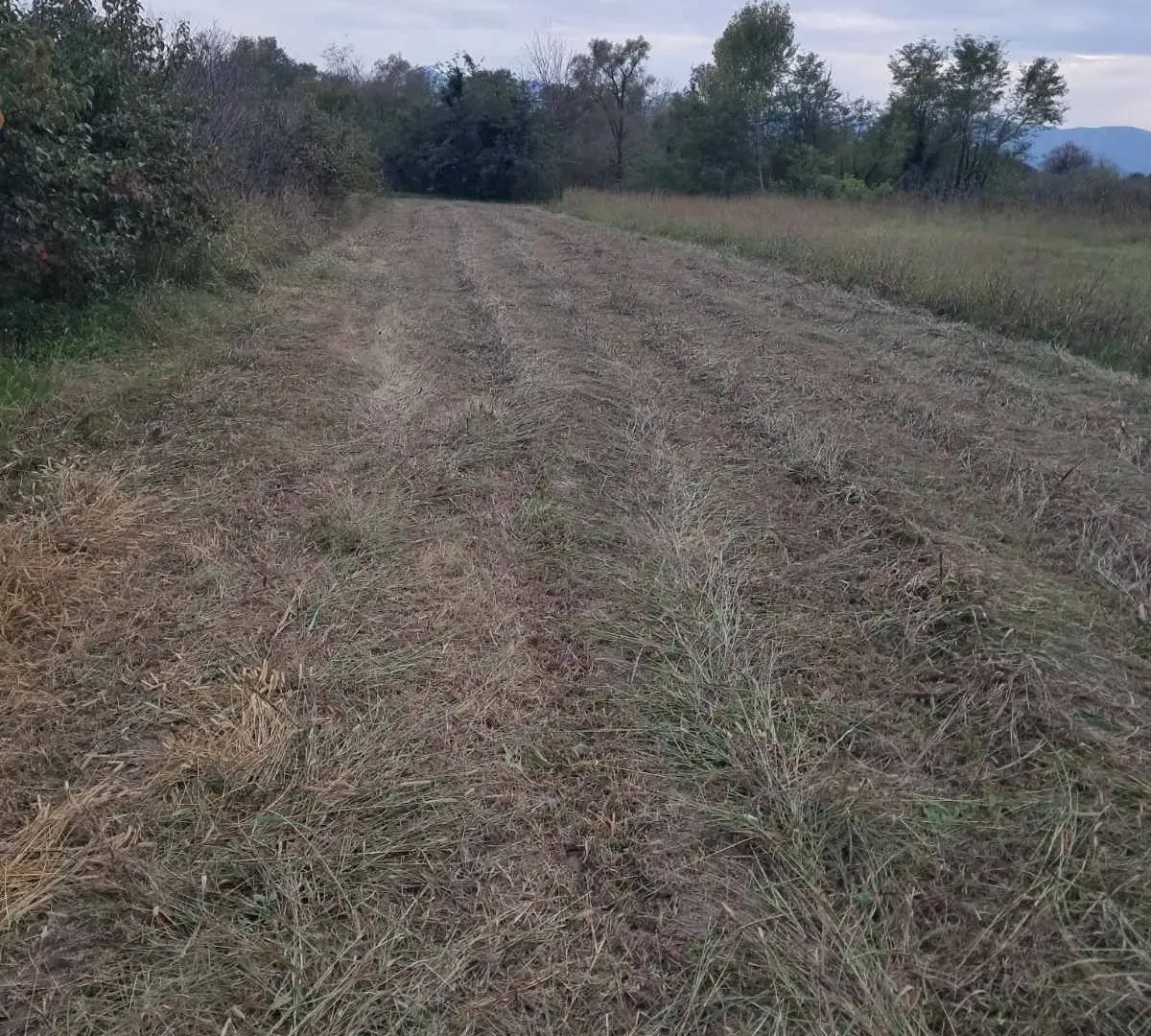 Prodaja, plac, 3000m², Podgorica, Crna Gora