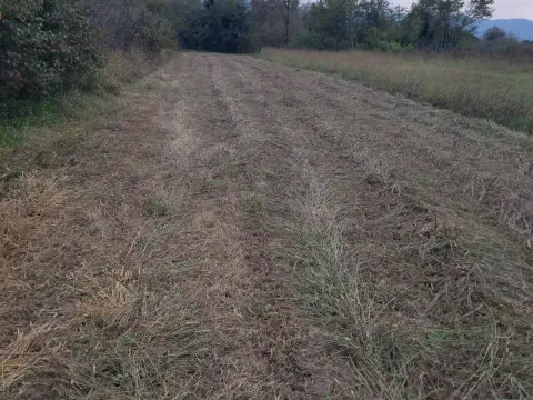 Prodaja, plac, 3000m², Podgorica, Crna Gora - image 6