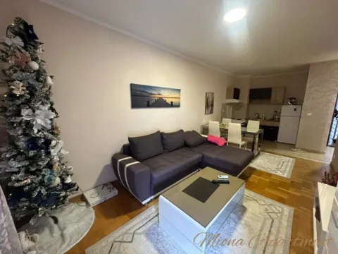 Izdavanje, jednosoban stan, 43m², Maslinjak, Budva - image 3