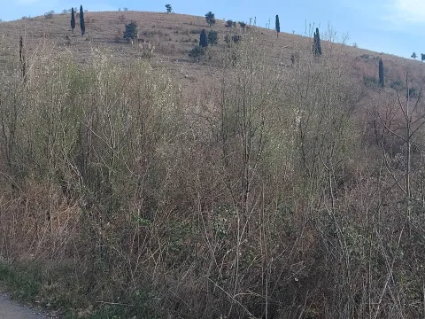 Prodaja, plac, 2400m², Dajbabe, Podgorica - image 7