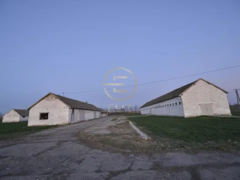 Prodaja, plac, 980m², Vrbas, Novi Sad - image 21