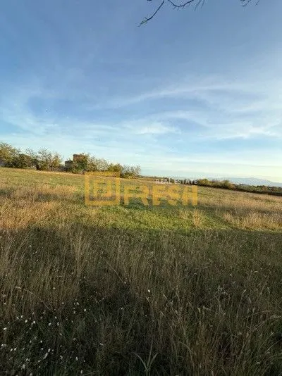Prodaja, plac, 4929m², Ostalo, Podgorica