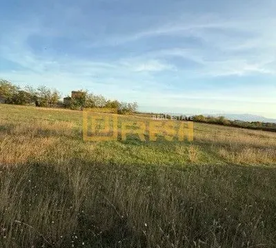 Prodaja, plac, 4929m², Ostalo, Podgorica - image 2