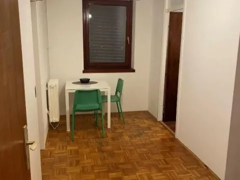 Izdavanje, jednosoban stan, 45m², Bezanijska Kosa 1, Bežanijska Kosa Sve Podlokacije - image 4