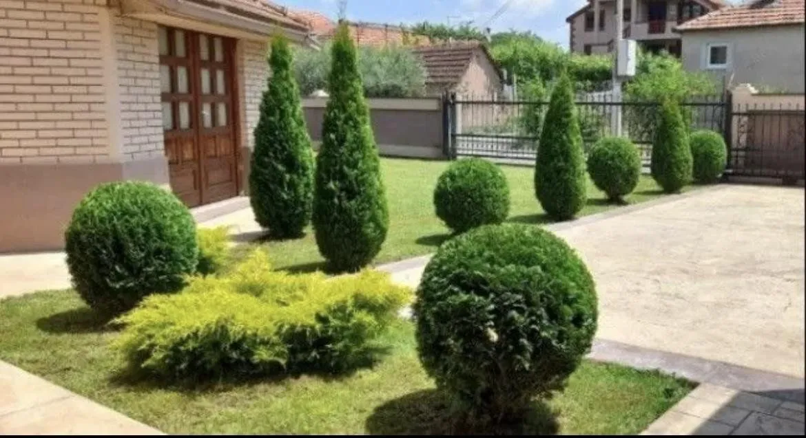 Rent, house, 250m², Tološi, Podgorica