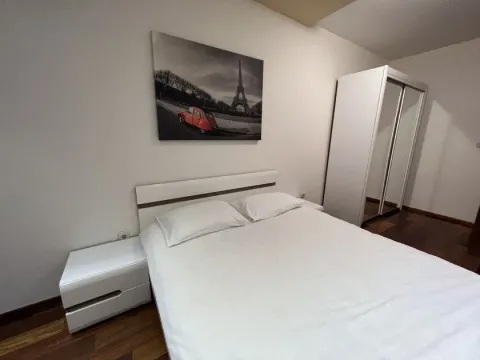 Izdavanje, jednosoban stan, 50m², Centar, Podgorica - image 7