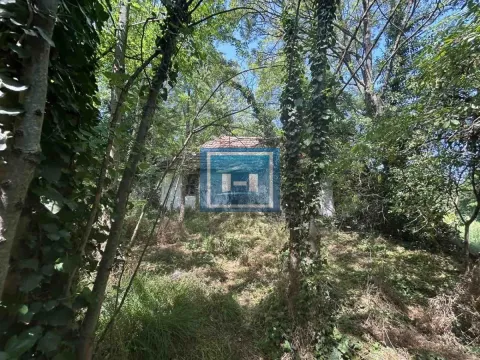 Prodaja, plac, 900m², Lapovo, Srbija - image 10