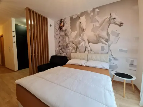 Prodaja, garsonjera, 27m², Budva, Crna Gora - image 15