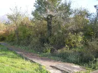 Sale, land lot, 2500m², Radanovići, Kotor - image 2