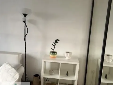 Rent, two bedroom apartment, 53m², Vračar Centar, Vračar Sve Podlokacije - image 4