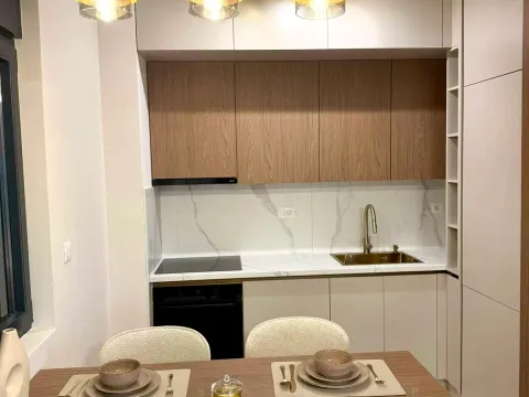 Rent, one bedroom apartment, 64m², Zagorič, Podgorica - image 6