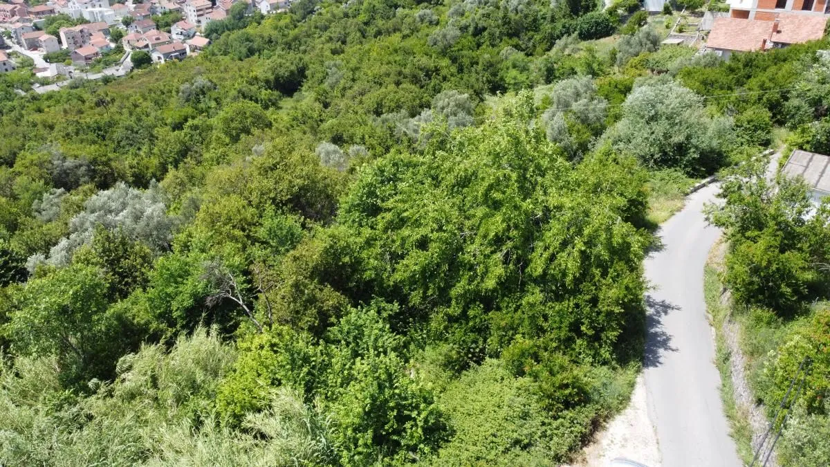 Prodaja, plac, 1400m², Tivat, Crna Gora