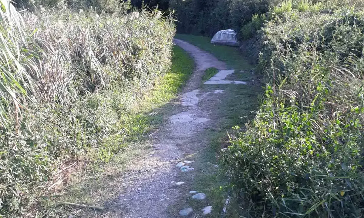 Sale, land lot, 1626m², Budva, Crna Gora