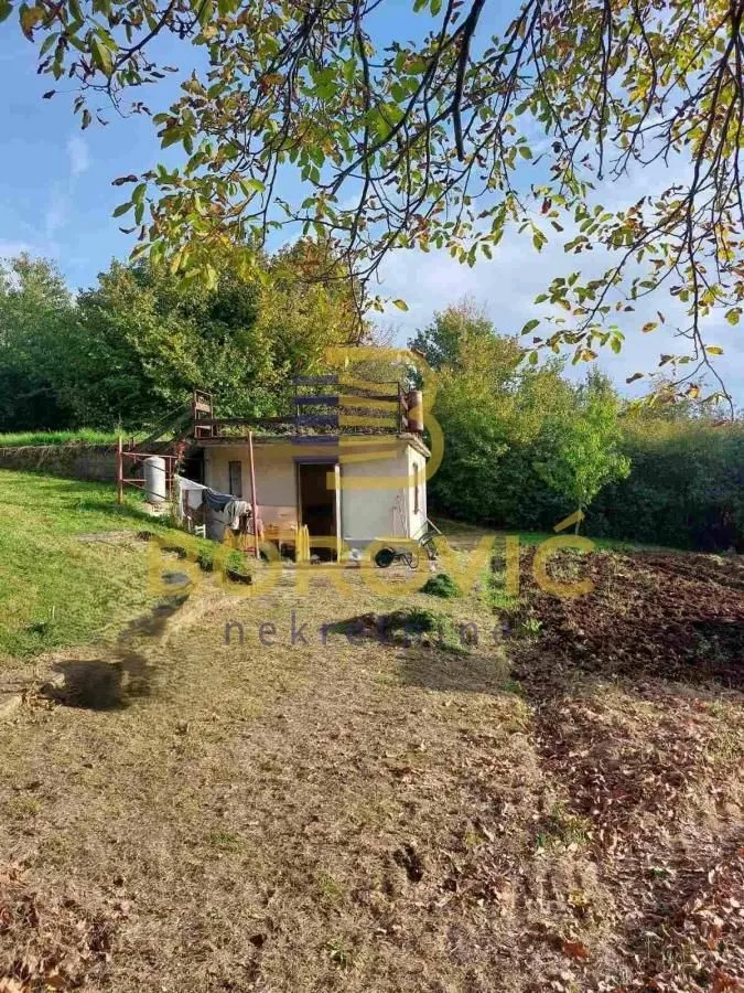 Manja prizemna kuća u dvorištu okruženom zelenilom.