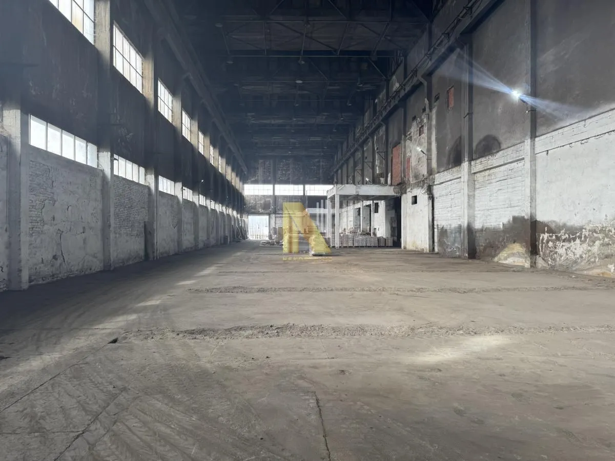 Rent, office space, 1922m², Salajka, Novi Sad Sve Podlokacije