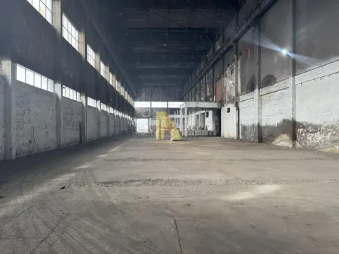 Rent, office space, 1922m², Salajka, Novi Sad Sve Podlokacije