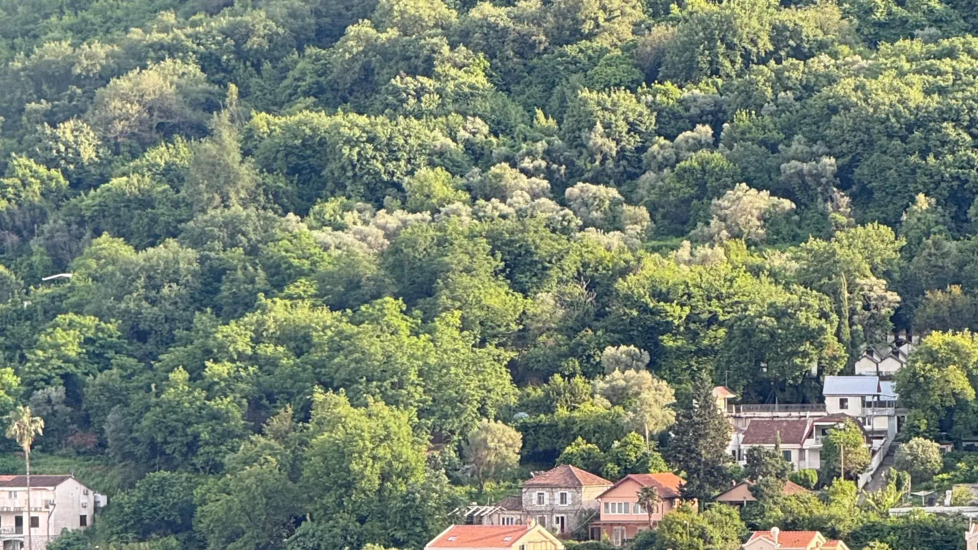 Prodaja, plac, 4614m², Donji Stoliv, Kotor