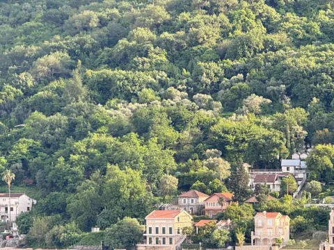Prodaja, plac, 4614m², Donji Stoliv, Kotor - image 9