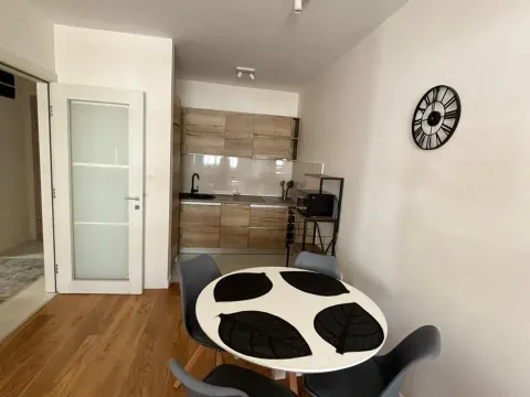 Prodaja, jednosoban stan, 46m², Central Point, Podgorica - image 3