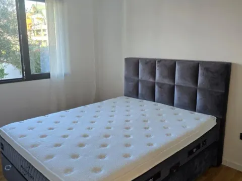 Izdavanje, dvosoban stan, 100m², Dalmatinska ulica, Podgorica - image 2