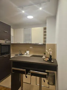 Izdavanje, jednosoban stan, 43m², Podgorica, Crna Gora - image 2