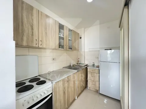 Izdavanje, jednosoban stan, 65m², Zagorič, Podgorica - image 5