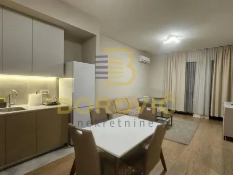 Izdavanje, dvosoban stan, 53m², Savski Venac, Beograd - image 2
