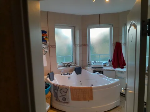 Prodaja, kuća, 350m², Veternik, Novi Sad Sve Podlokacije - image 9