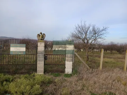 Sale, office space, 723m², Veliki Popović, Despotovac - image 33