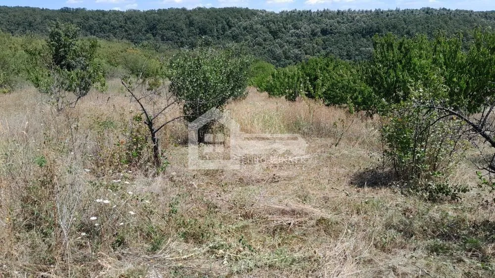 Prodaja, plac, 8000m², Voždovac Sve Podlokacije, Beograd