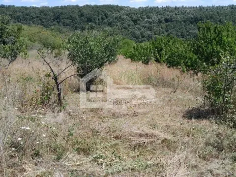 Prodaja, plac, 8000m², Voždovac Sve Podlokacije, Beograd - image 2