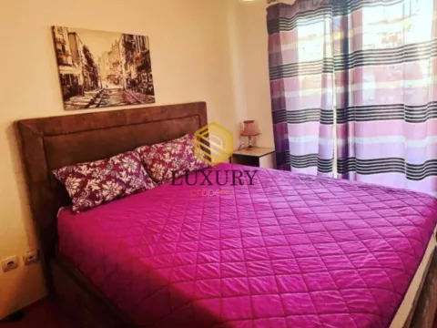 Izdavanje, jednosoban stan, 64m², Stari Aerodrom, Podgorica - image 9