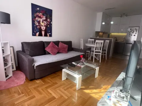 Izdavanje, jednosoban stan, 45m², Budva, Crna Gora
