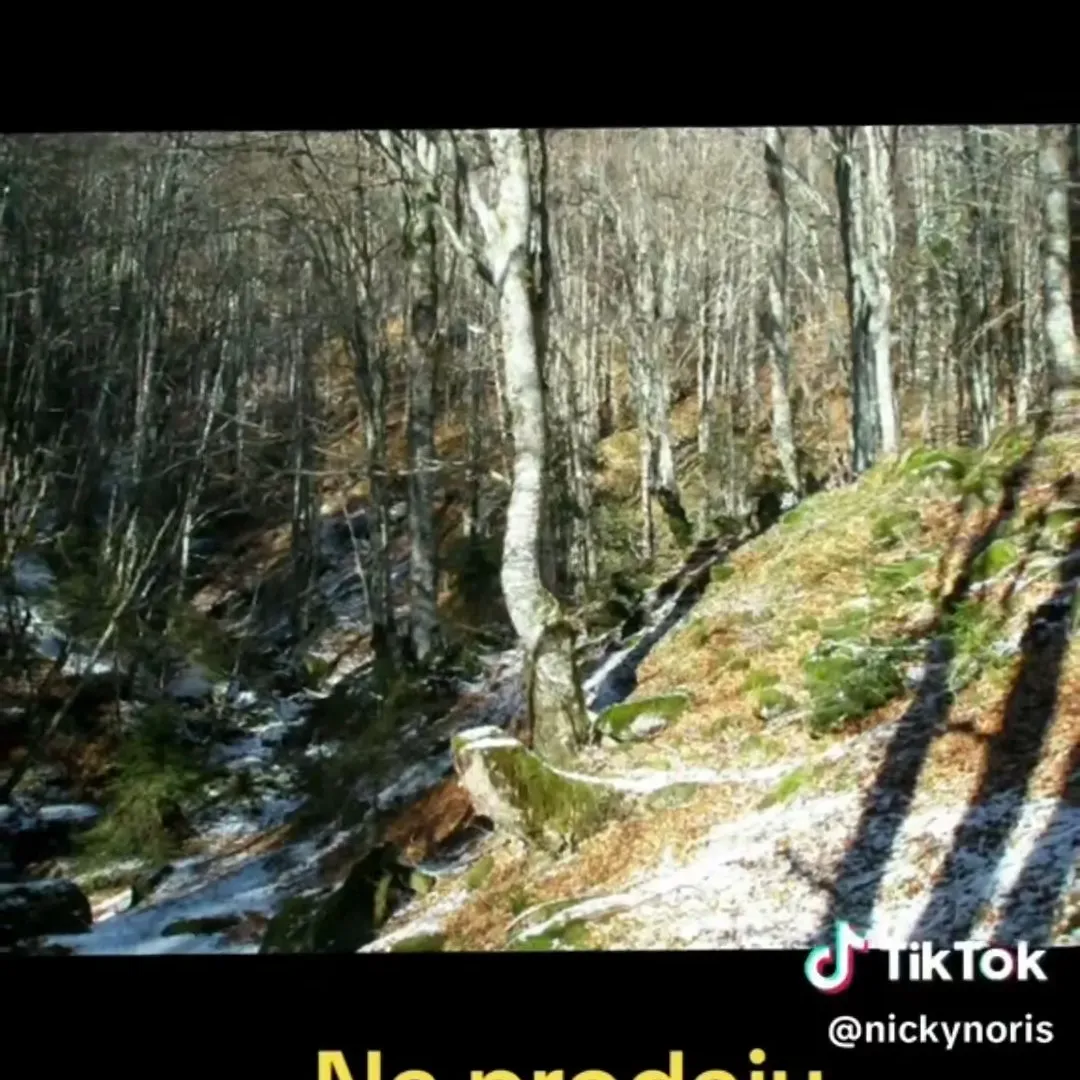 Prodaja, plac, 100000m², Sela, Kolašin