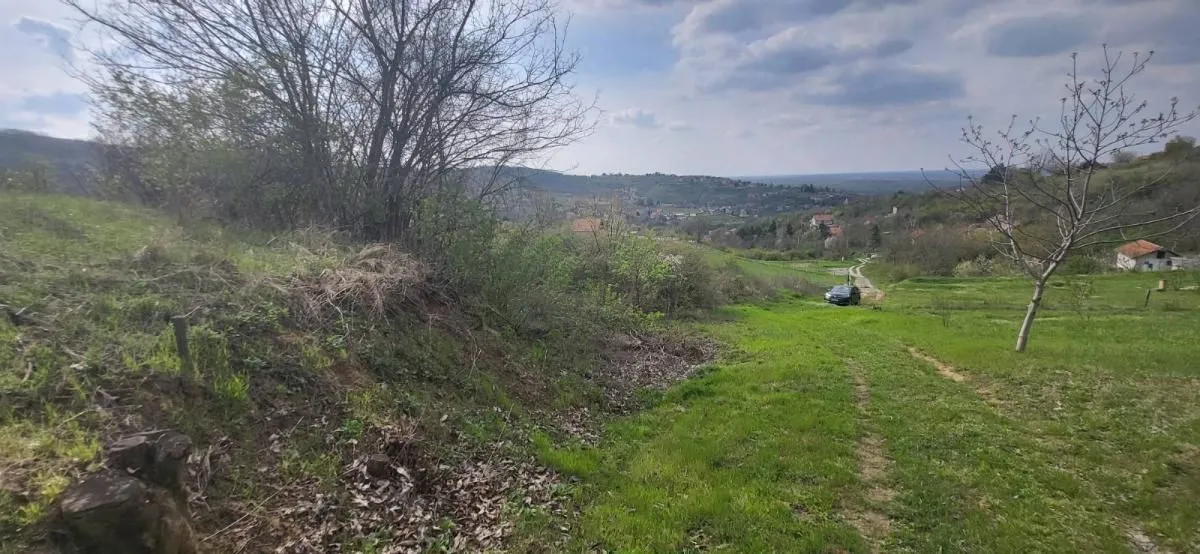 Sale, land lot, 2800m², Beočin, Srbija